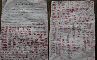 广西400农民歃血为盟 立“生死状”保山林 （组图）