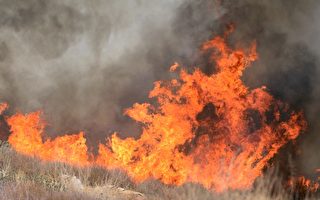 加州野火季 更长更凶猛