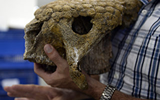 组图：科学家：史前巨兽数百万年前与人类共存