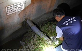 蘆竹耀鼎國際偷排強酸廢水勒令停工