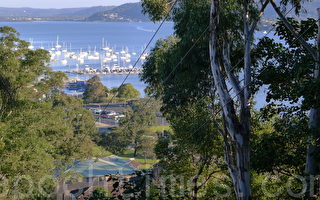 悉尼周边 黑镇和中海岸房价最低
