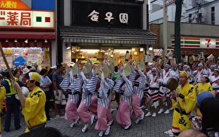 东京高圆寺阿波舞祭 舞动夏日风物诗