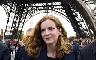 巴黎右翼候選人：市政競選 重點講安全