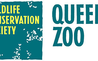 皇后区动物园推出2013金秋“哞在动物园”