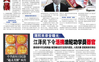 參考資料：中國新聞專刊010期（2013年9月18日）