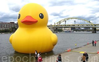 庆150周年 巨型大黄鸭即将光临多伦多