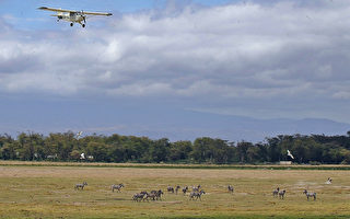 组图：野生动物天堂 肯尼亚安博塞利公园