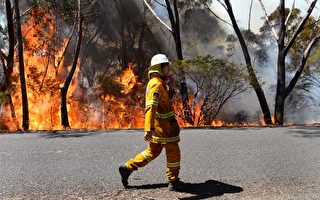 高溫強風助長 澳洲野火恐合體