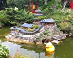 看小鴨 玩桃園 旅遊資訊全攻略