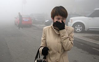 组图：雾霾太大 哈尔滨公交车迷路了
