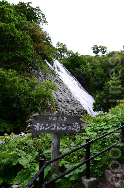 组图 知床八景 二 北海道 大纪元