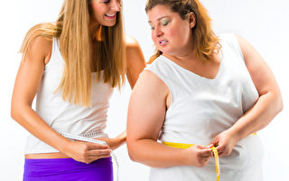 研究：肠道细菌或影响人们胖瘦