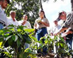 國立高雄師範大學副校長王惠亮等人，抵瓜地馬拉，
針對咖啡葉銹病病害，進行實地瞭解。（駐瓜地馬拉大使館提供）