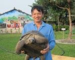 廖姓青年手抱着重达20多公斤的象龟。（廖素贞／大纪元）