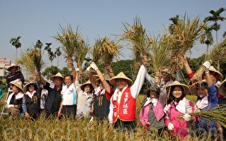 工艺稻草文化节 展现乡土文化特色