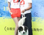 隋棠今（26）日出席寵物公益電影《十二夜》首映，她帶爸爸和領養寵物「老兄」首度亮相。（白川／大紀元