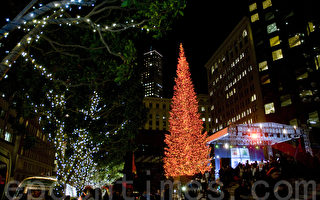 舊金山加利福尼亞大道聖誕樹點燈