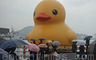 黃小鴨在基隆海洋廣場就定位後湧進民眾觀看。（謝月琴／大紀元）