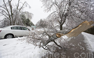 加拿大遇10年最大冰雨 多伦多25万用户断电