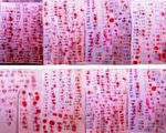 1176名民眾簽名要求釋放在京被劫入冤獄的信廷超(明慧圖片）