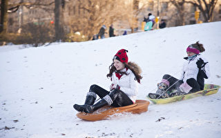 组图：纽约暴雪后中央公园雪之乐