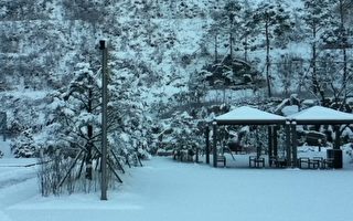 美籍华人在韩国：冬日的笛声