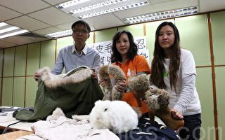 香港環保觸覺：減買減用毛製衣物