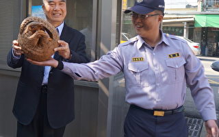保育類動物「穿山甲」出現楊梅市公所