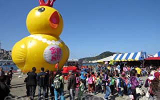 18尺雞鴨同在雞籠  金雞母拼黃小鴨