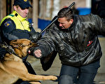 荷蘭警員為核安全峰會在Ede進行集訓。（ROBIN VAN LONKHUIJSEN/AFP/Getty Images）