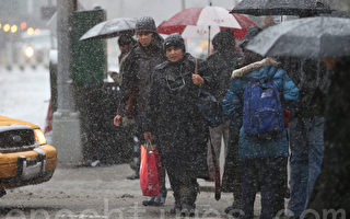 纽约再迎大雪 土拨鼠预测冬季延长