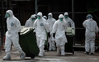 研究：H7N9或侷限在中國人之間傳播