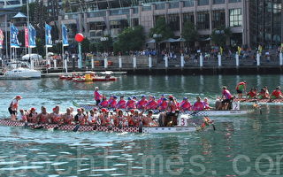 悉尼中国新年龙舟竞渡尽显传统、热情和色彩