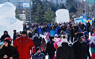 北美最大冰雪节 冰雕艺人展才华 华人庆新年