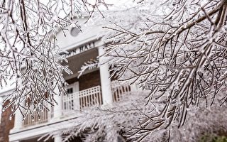 阿州暴風雪造成2萬5千用戶斷電