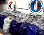 2014年2月21日，法國勒哈佛（Le Havre）港口查獲1.4公噸古柯鹼，創歷來新高。（JULIAN COLLING／AFP）