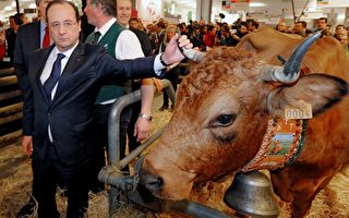 法國第51屆國際農展會 憂喜交集