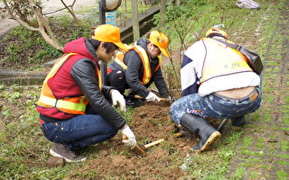 地檢署社會勞動人參與虎頭山公園植樹