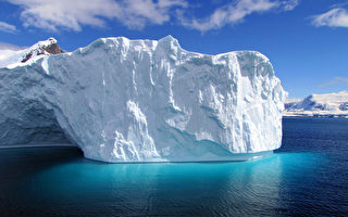 組圖：動人南極美景