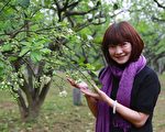 柚見幸福 西湖柚花季登場