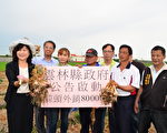 雲林縣啟動大蒜外銷 保障蒜農收益