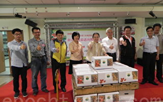 嘉义县优质小果番茄进军国际市场