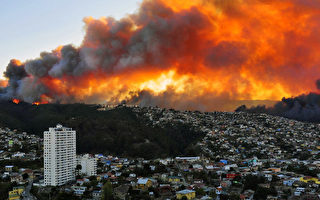 智利森林火灾肆虐 4死 500房屋被毁
