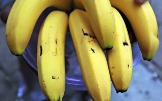 非洲爆發「香蕉愛滋病」 威脅全球蕉業