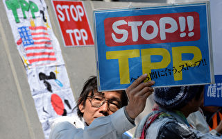 美日協商TPP  歧見仍多