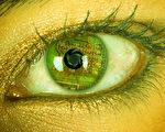 美国近10万人罹患色素性视网膜炎，其中约7,500人有资格做仿生眼（bionic eye）移植手术重见光明。（Fotolia.com）