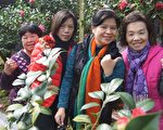 花園療癒另類療法