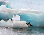 减碳不敌暖化 南极融冰灾难快过预期