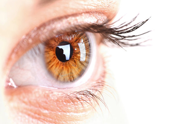 黃斑部是視網膜正中心，是視覺最敏銳處。（Fotolia）