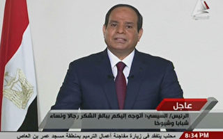 埃及正式宣佈前陸軍元帥賽西當選總統